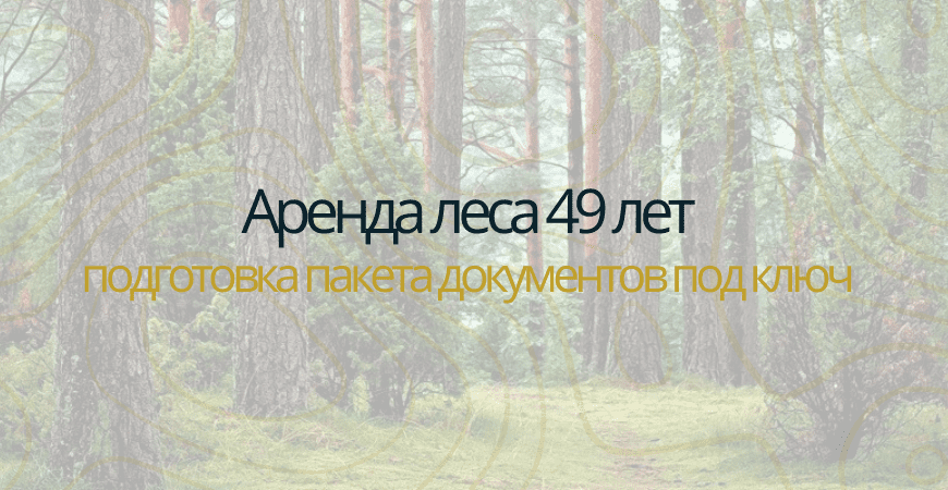 Аренда леса на 49 лет в Чкаловске
