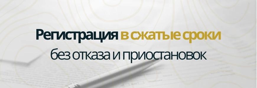 Регистрация в сжатые сроки под ключ в городе Чкаловск